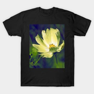 Night Garden White Cosmos T-Shirt